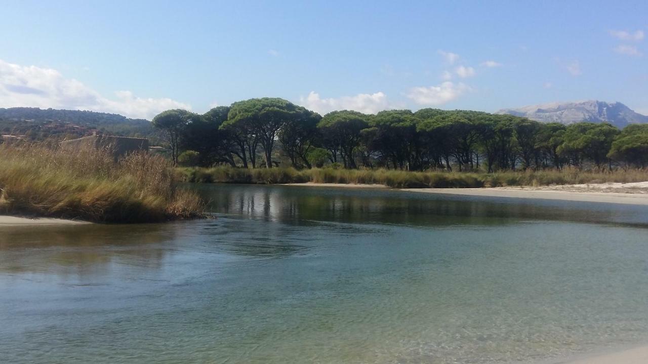 Villa Le Ginestre ラ・カレッタ エクステリア 写真
